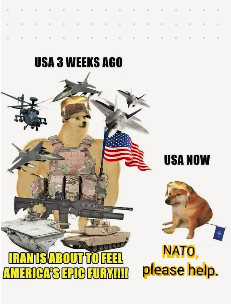 1773838839548.webp