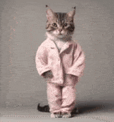 1774543072650.gif