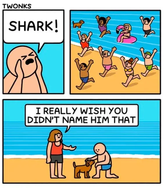 1777244272387.webp