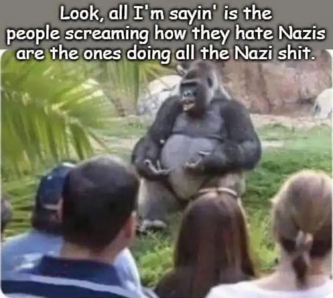 1777448710113.webp