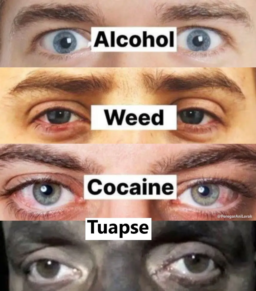 1777731504726.webp