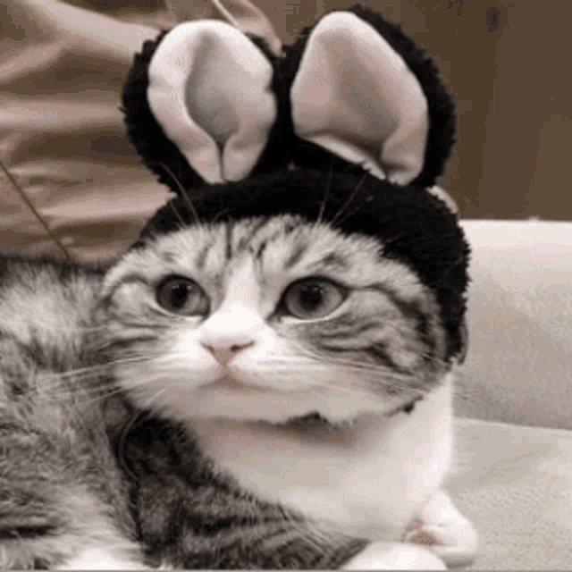 1777809399166.gif