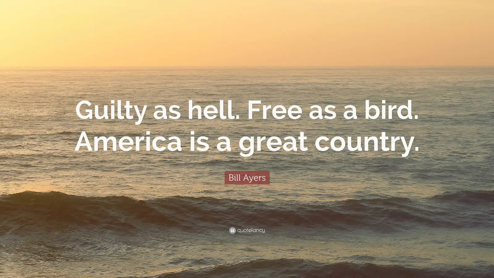 1777827100426.webp