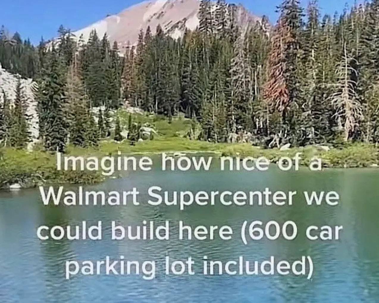 1777831092611.webp