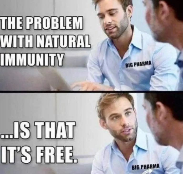 1777863785864.webp