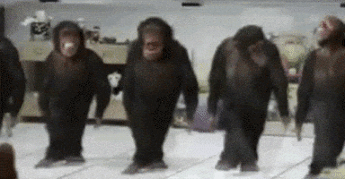 1778088269075.gif