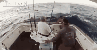 1778250727113.gif