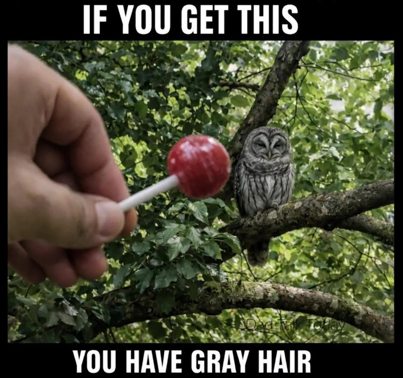 1778273422197.webp
