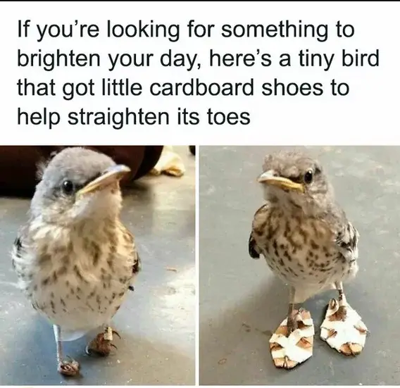 1778281769487.webp
