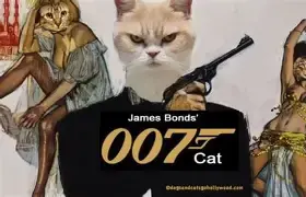 1778444897269.webp