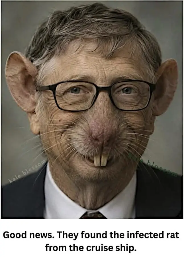 1778546514258.webp