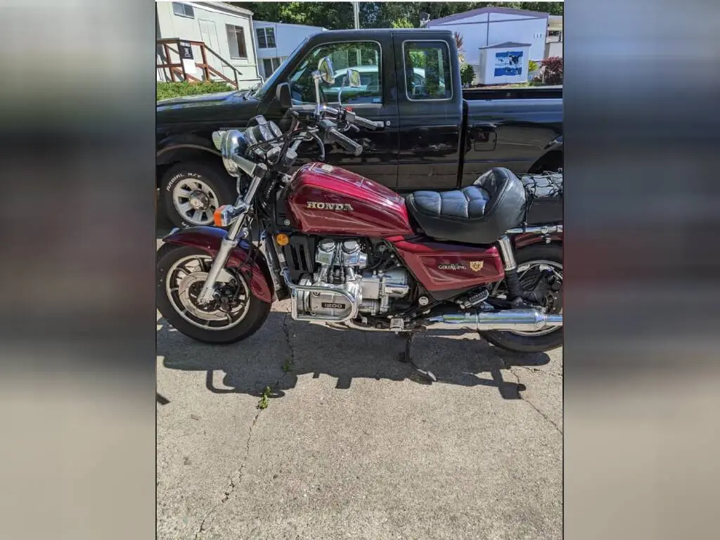 1778559081168.webp