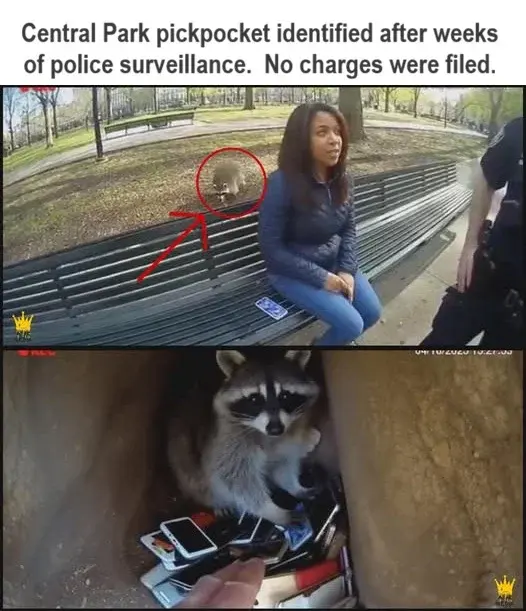 1778728227704.webp