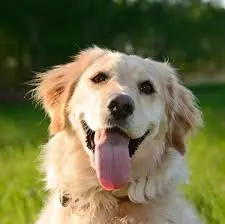 1778844132109.webp