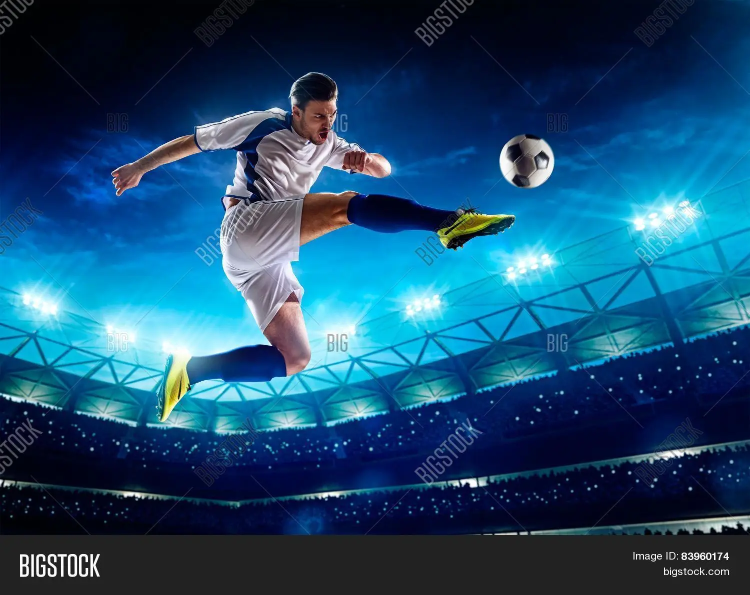 1779232019091.webp