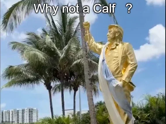 1779431114731.webp