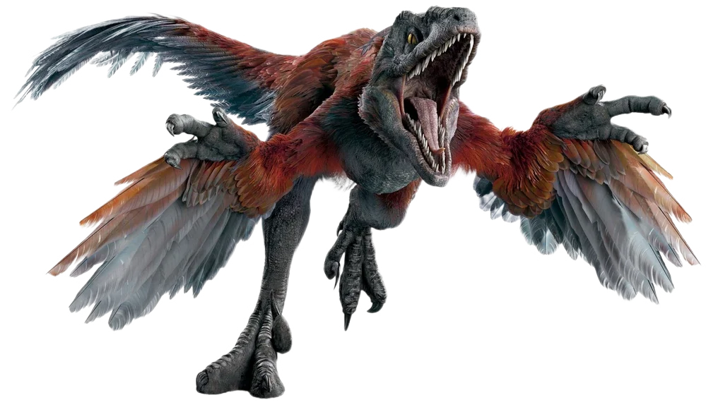 1779631105464.webp