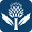 1779809259509.webp