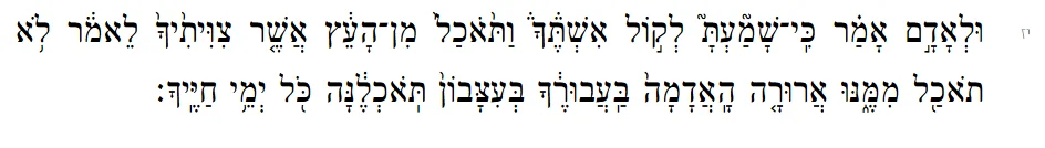 1779819959313.webp