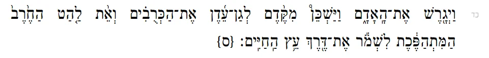 1779821131824.webp