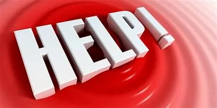 1780366794346.webp