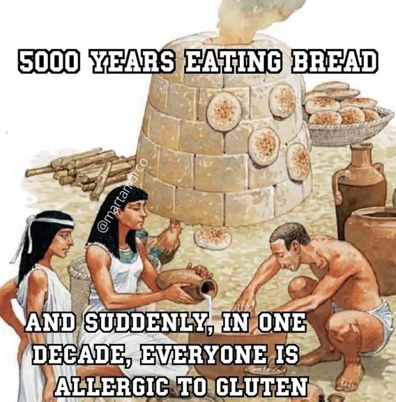 1780689149240.webp