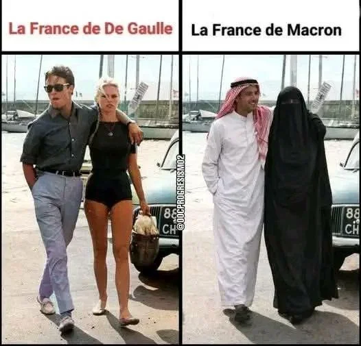 1780788309316.webp