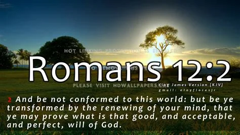 1780883273735.webp