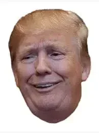 1781133712324.webp
