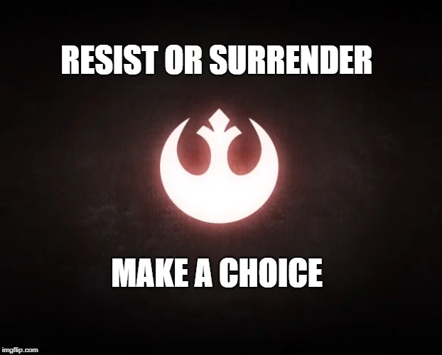 1781135619259.webp