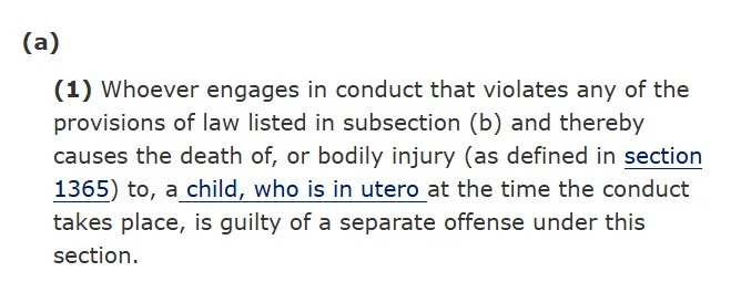 1781222989577.webp