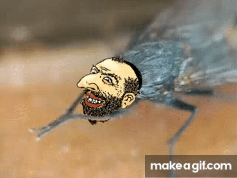 1781962062884.gif