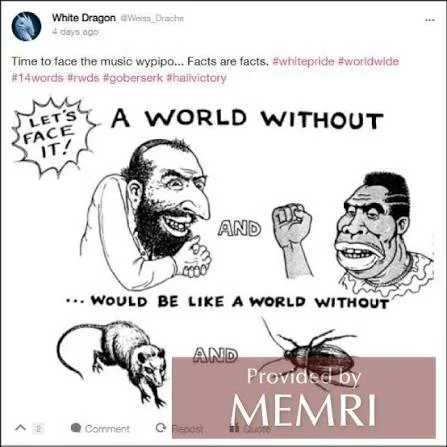 1781963392985.webp