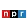 1782295454843.webp