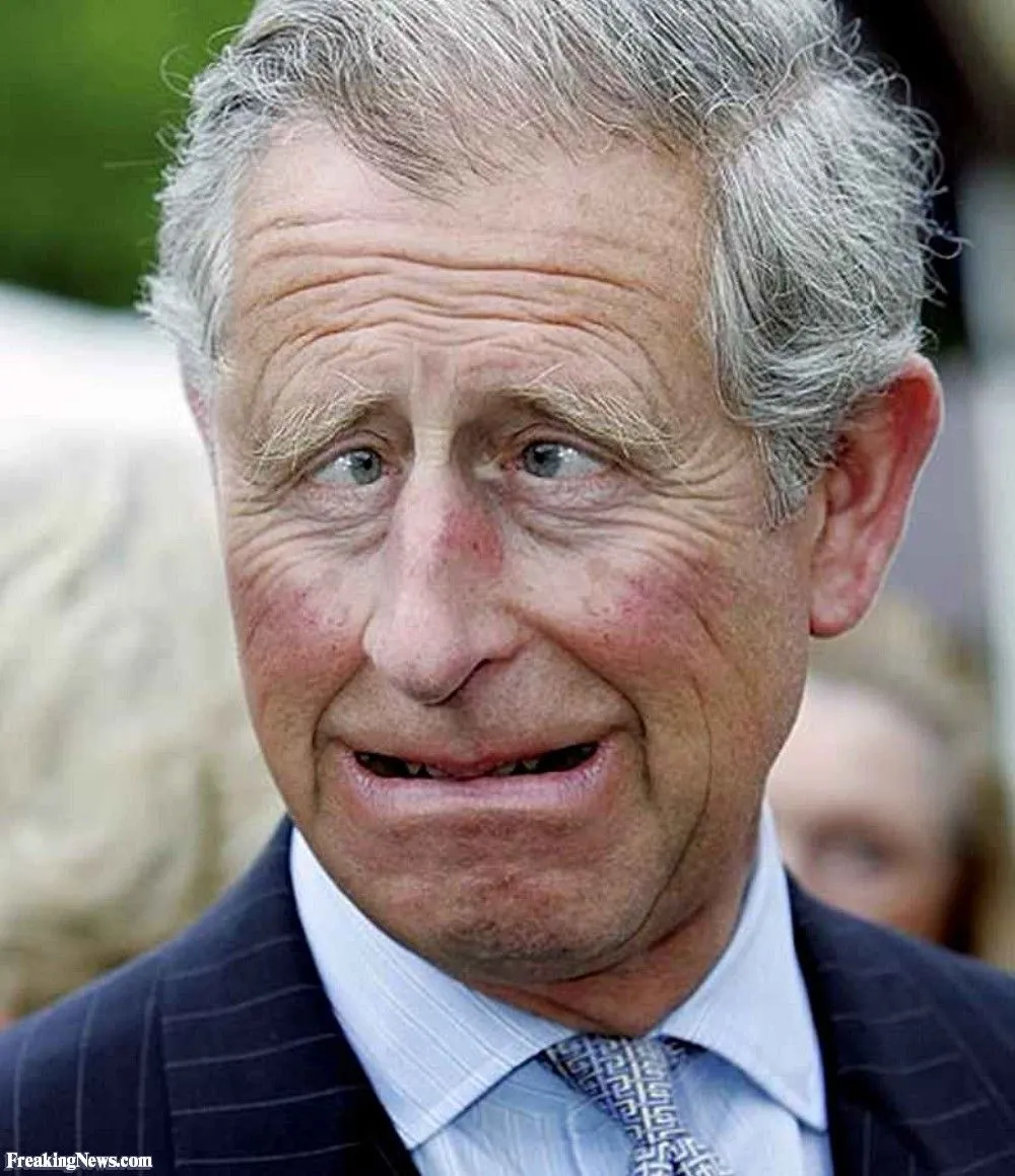 1789037769-Funny-Prince-Charles-Pulling-Face-58666.webp