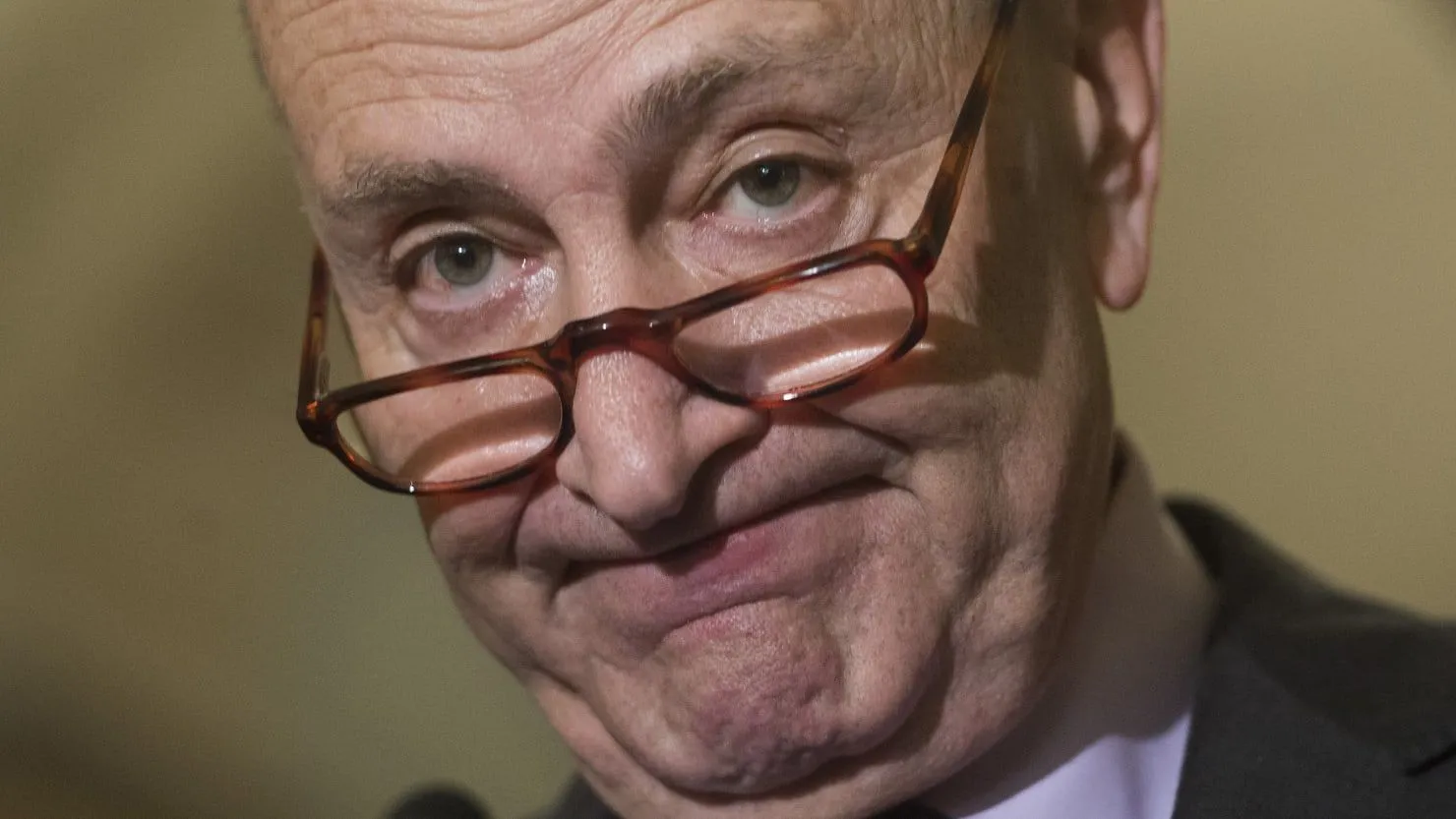 180122-stein-schumer-tease_std0pi.webp