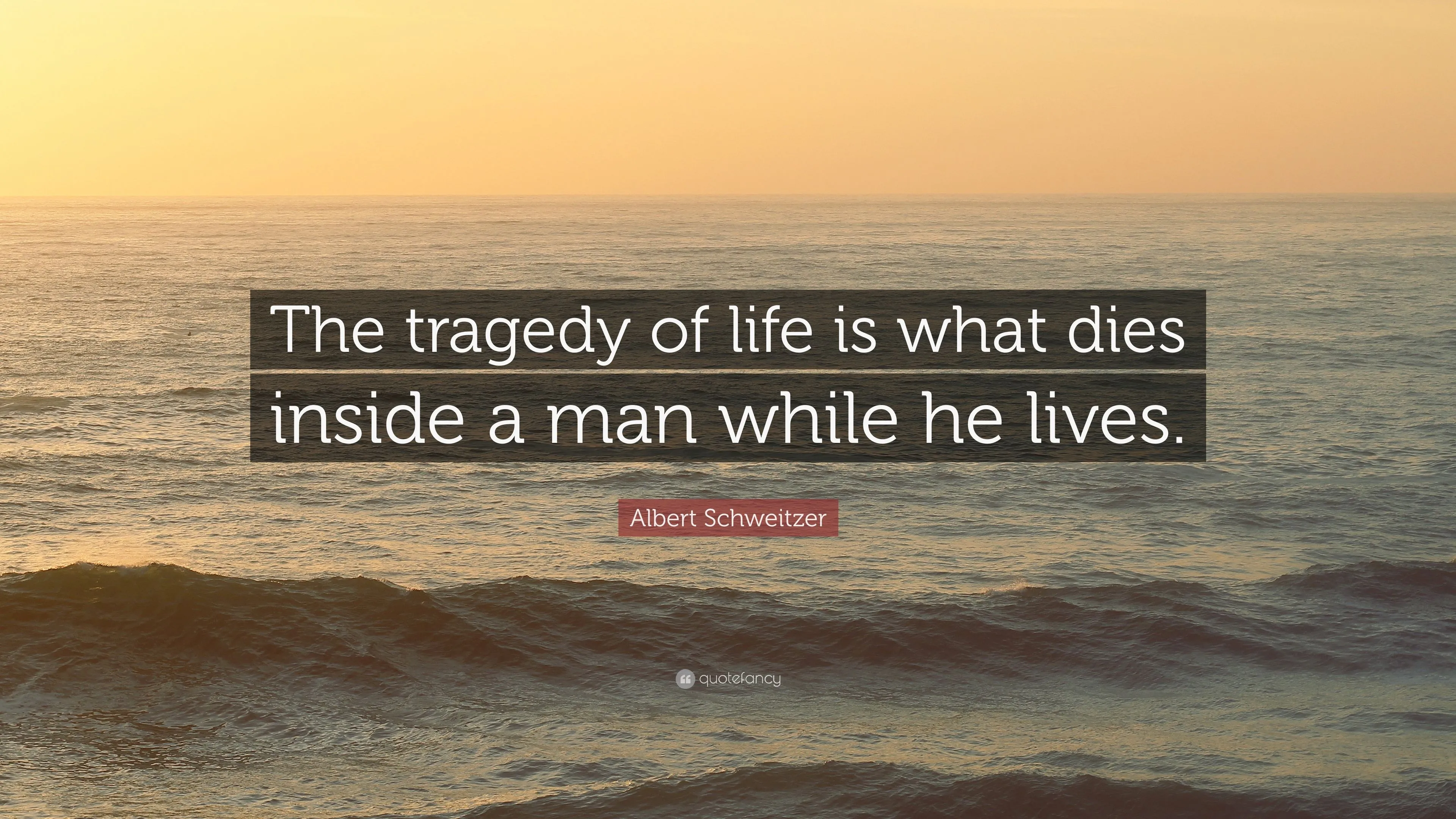 1870459-Albert-Schweitzer-Quote-The-tragedy-of-life-is-what-dies-inside-a.webp