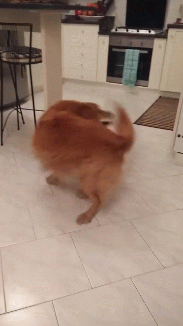 18ntMIU[1].gif