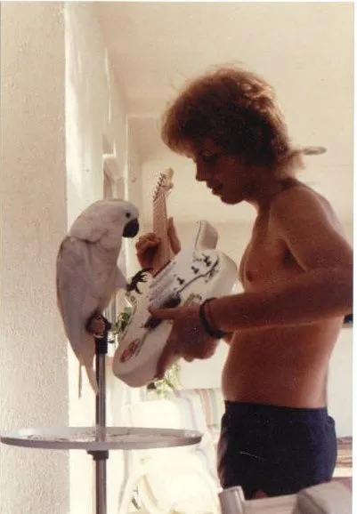 1987.webp