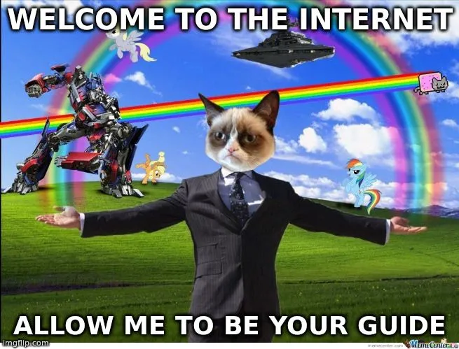 1ainternetguide.webp