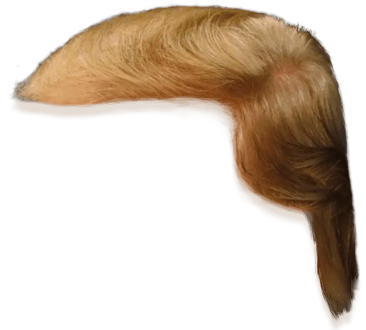 1atrumphair.webp