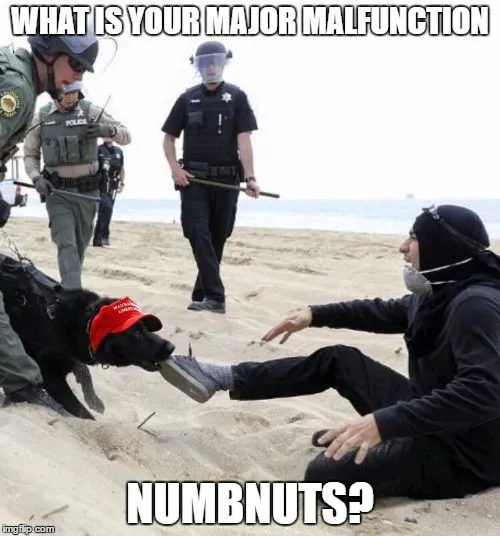 1m5nu3.webp