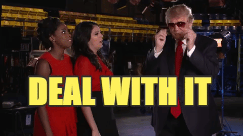 1trumpdealwithit.gif