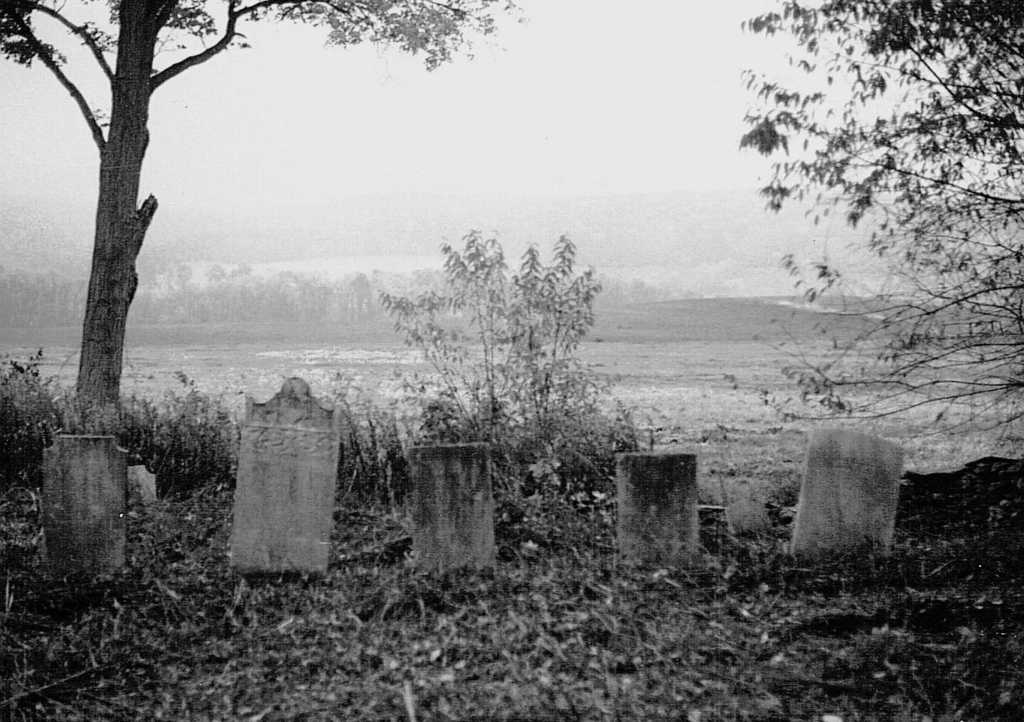 2-27-2010 4;40;37 PM21.webp