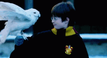 200 (1).gif