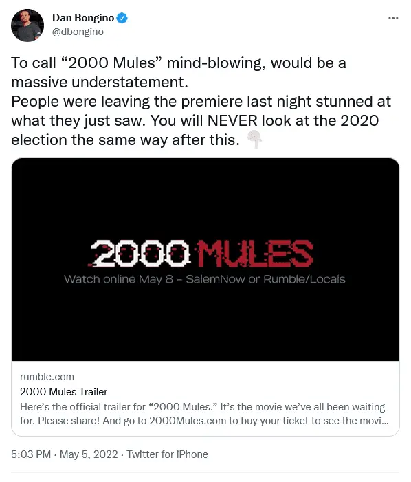 2000 mules 6.webp