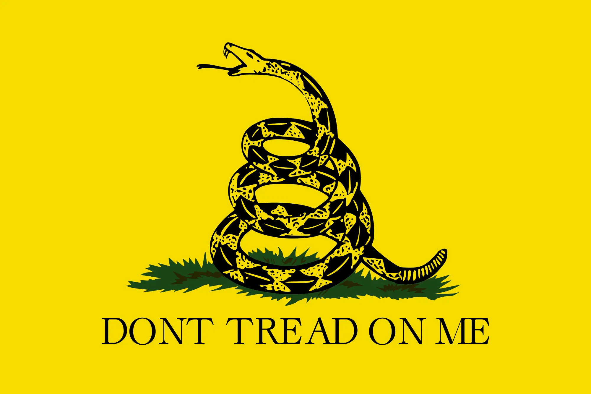 2000px-Gadsden_flag.svg.webp