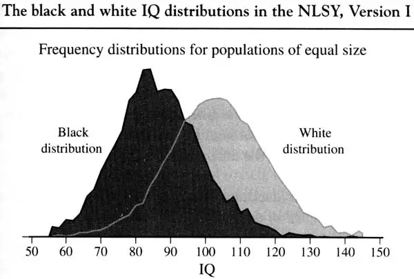 20060122_Multiracialists_are_Crazy,_Part_3_IQ_graph_racial.webp