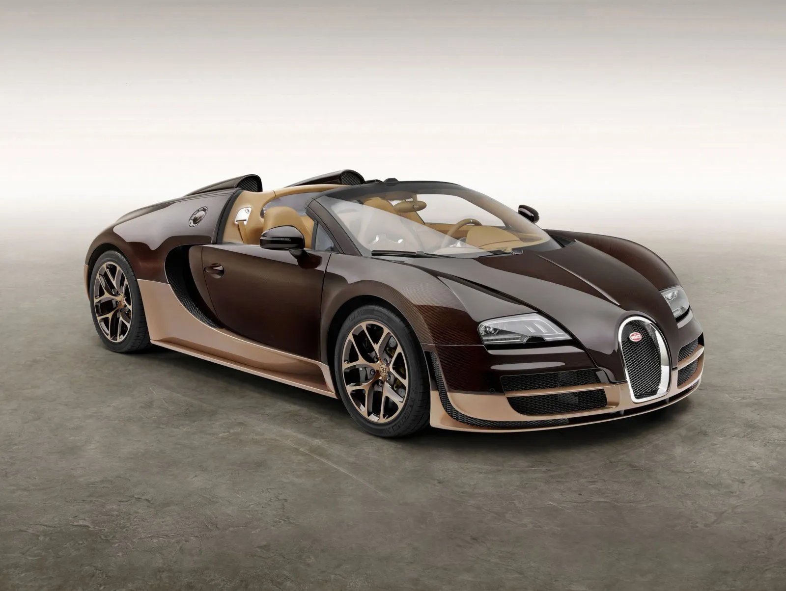2014-Bugatti-Veyron-2.jpg