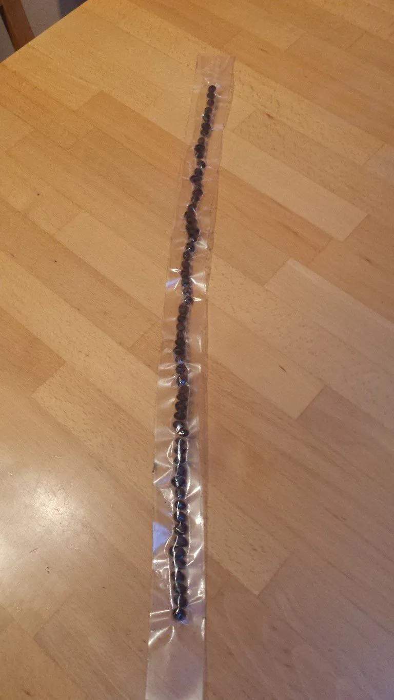 20141217_084836 (Medium).webp